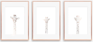 Giraffe Heads Trio