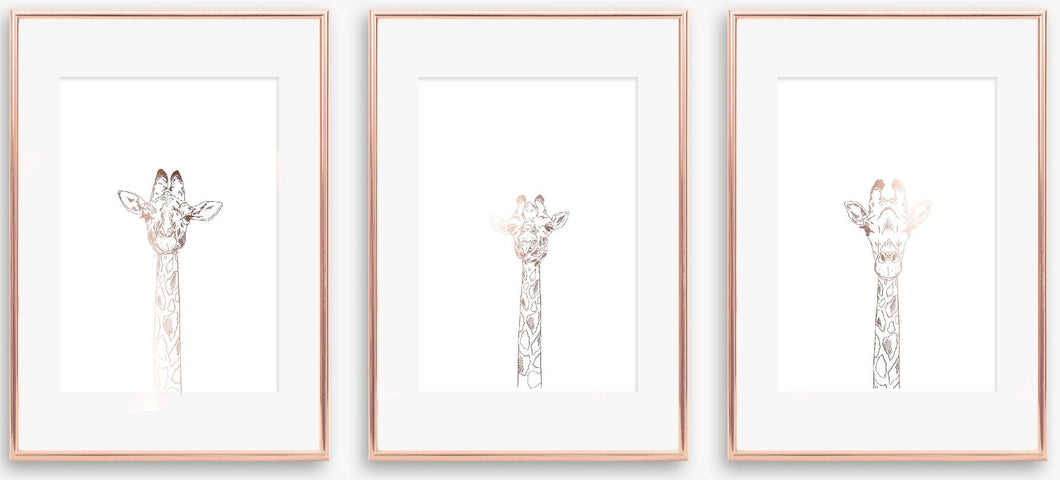 Giraffe Heads Trio