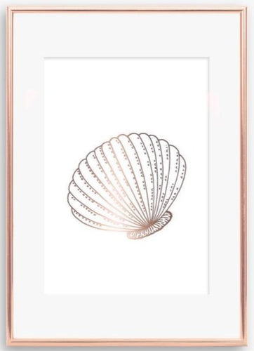 Shell Print - V1