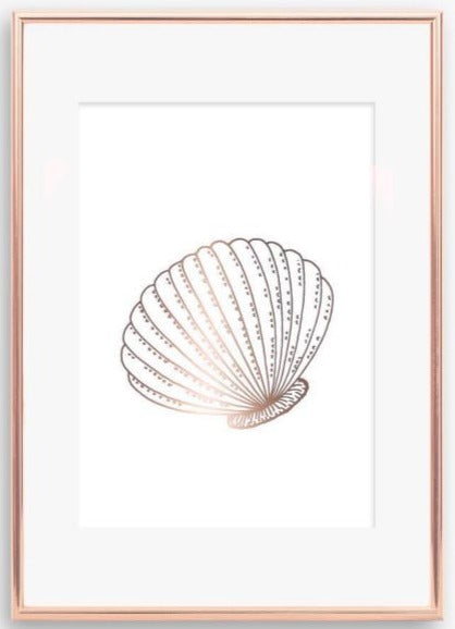 Shell Print - V1