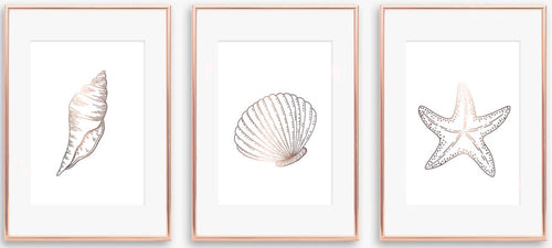 Bathroom Trio - Shells & Starfish