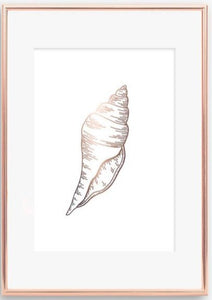 Shell Print - V2