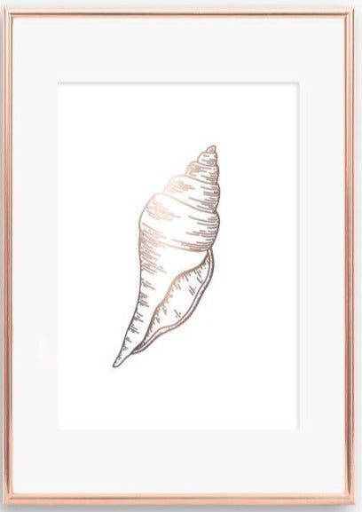 Shell Print - V2