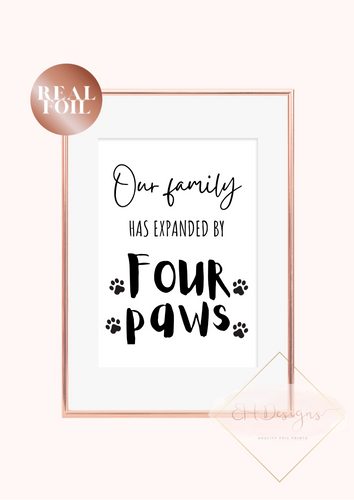 Our family has expanded by four paws
