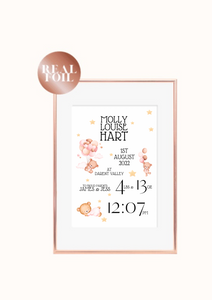 Bears & Balloons Pink Newborn Print