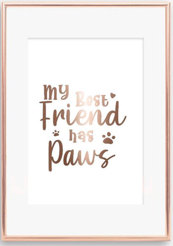 My best friend has paws