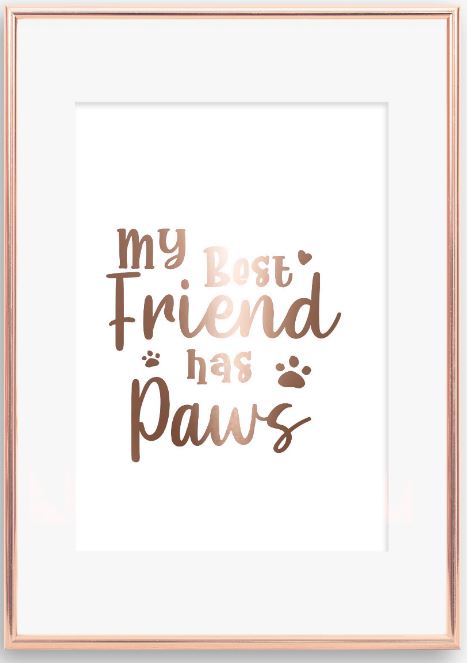 My best friend has paws